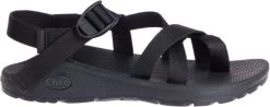 Chaco Z/Cloud 2 - Men's