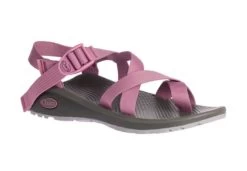 Chaco Z/Cloud 2 - Women's