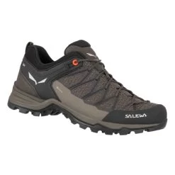 SALEWA Mountain Trainer Lite GTX - Women's