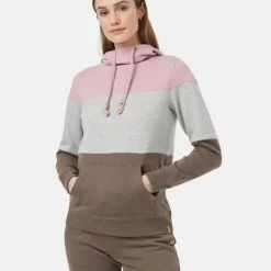 Tentree TreeFleece Blocked Banshee Hoodie - Women's